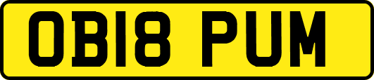 OB18PUM