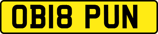 OB18PUN