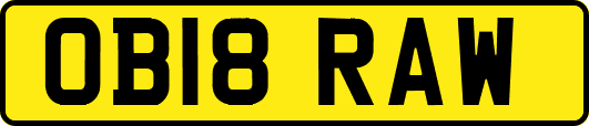 OB18RAW