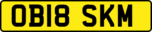 OB18SKM