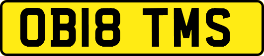 OB18TMS