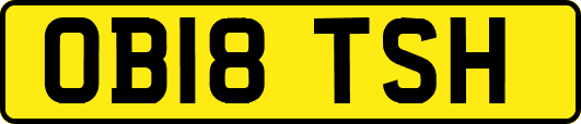 OB18TSH