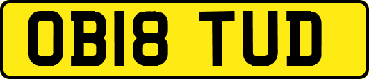 OB18TUD
