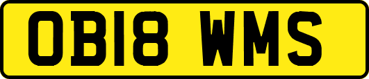 OB18WMS
