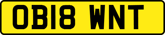 OB18WNT