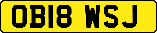 OB18WSJ