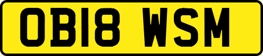 OB18WSM