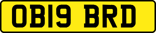 OB19BRD