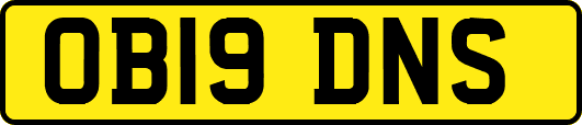 OB19DNS