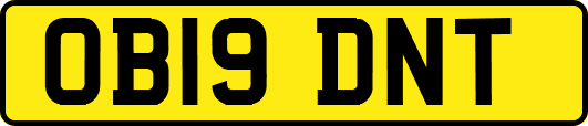 OB19DNT