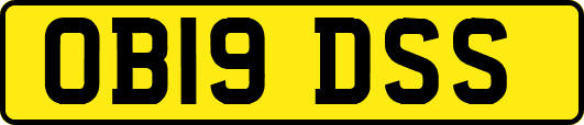 OB19DSS