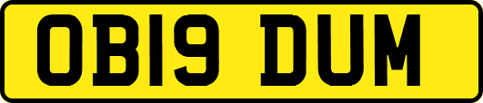 OB19DUM