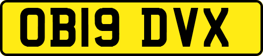 OB19DVX
