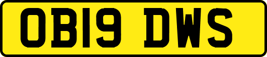 OB19DWS