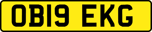 OB19EKG