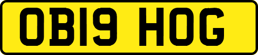OB19HOG