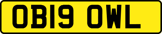 OB19OWL