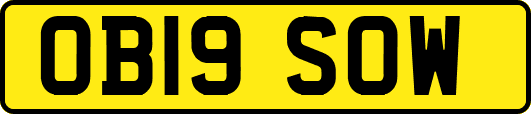OB19SOW