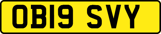 OB19SVY