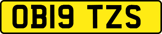 OB19TZS