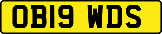 OB19WDS