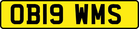 OB19WMS