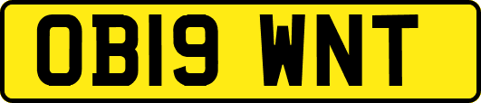 OB19WNT
