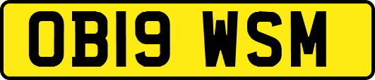 OB19WSM