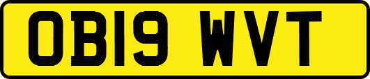 OB19WVT