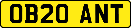 OB20ANT