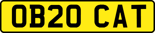 OB20CAT