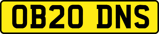 OB20DNS