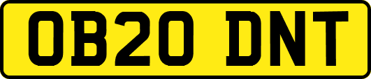 OB20DNT