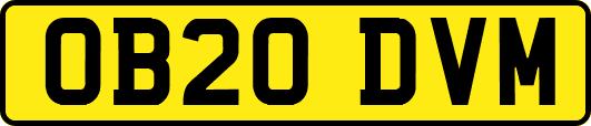 OB20DVM