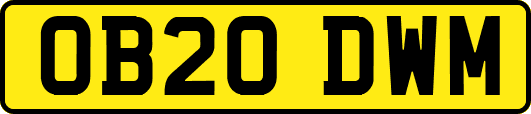 OB20DWM