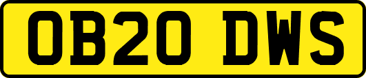 OB20DWS