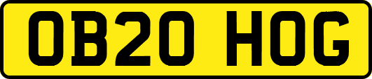 OB20HOG