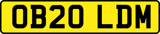 OB20LDM