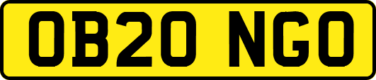 OB20NGO