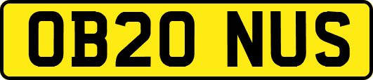 OB20NUS