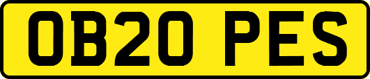 OB20PES