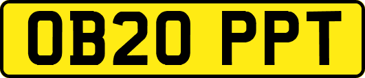 OB20PPT