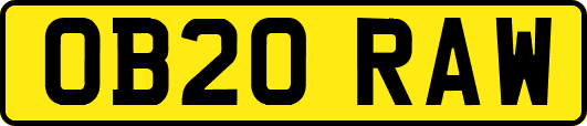 OB20RAW