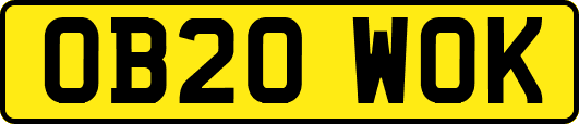 OB20WOK