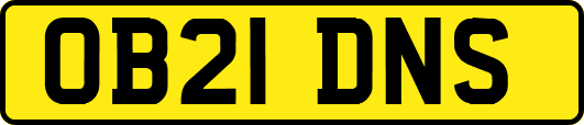 OB21DNS