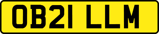 OB21LLM