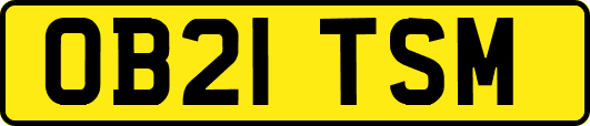 OB21TSM