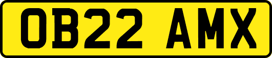 OB22AMX