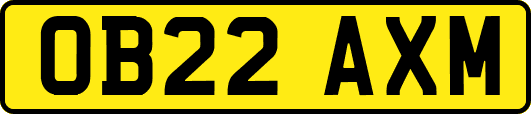 OB22AXM
