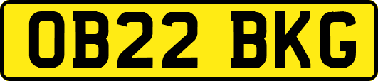 OB22BKG